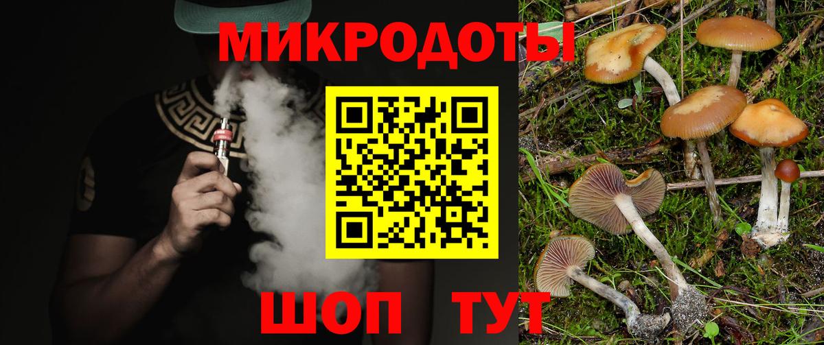 Галлюциногенные грибы MAGIC MUSHROOMS  Вход с VPN  Сосновоборск 